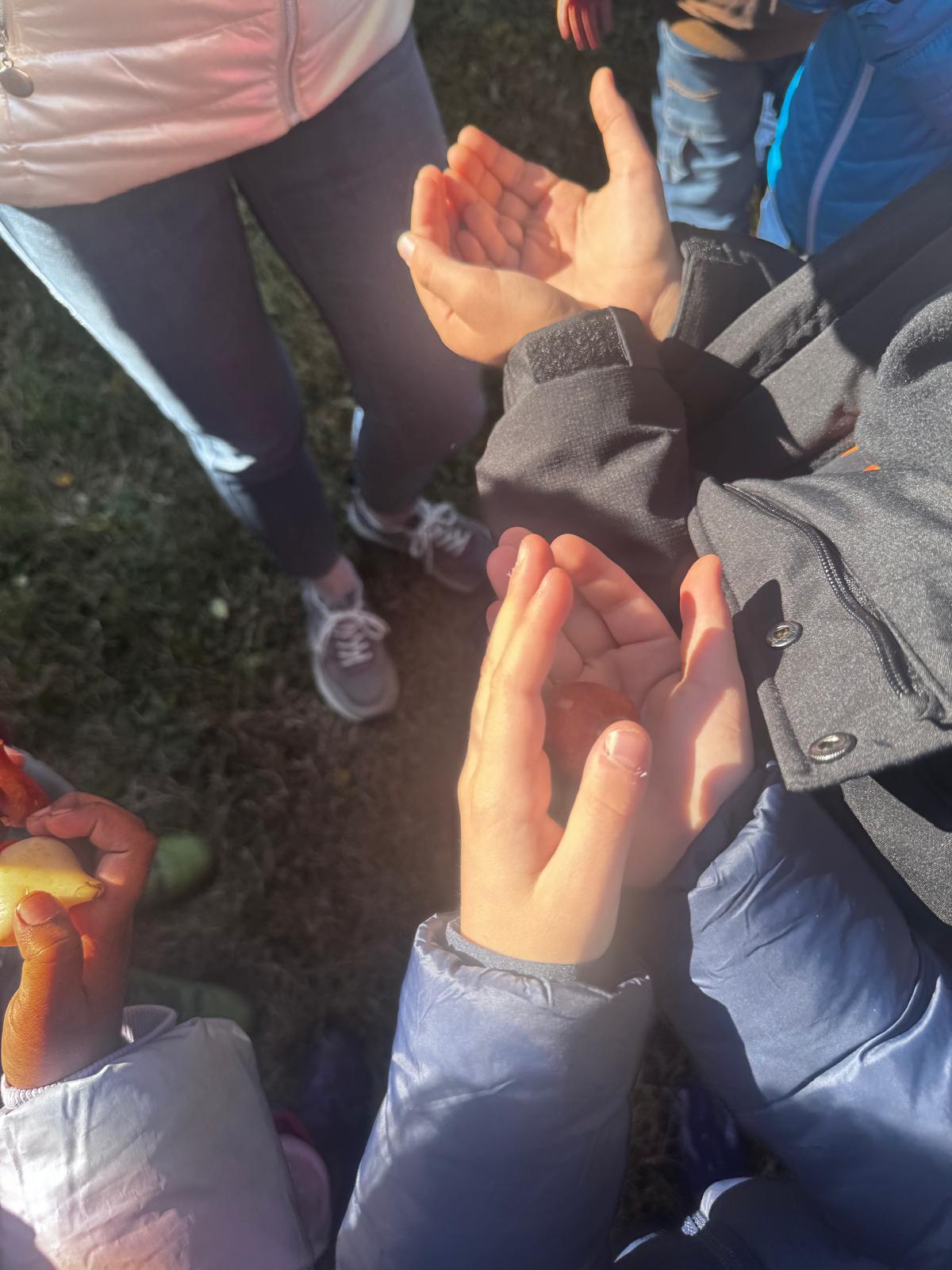 Bambini con i bulbi raccolti nel palmo delle mani