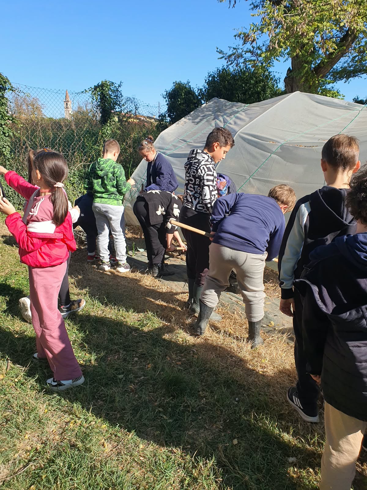 Gli alunni al lavoro nell’orto con vanghe e zappe accanto al tunnel di copertura