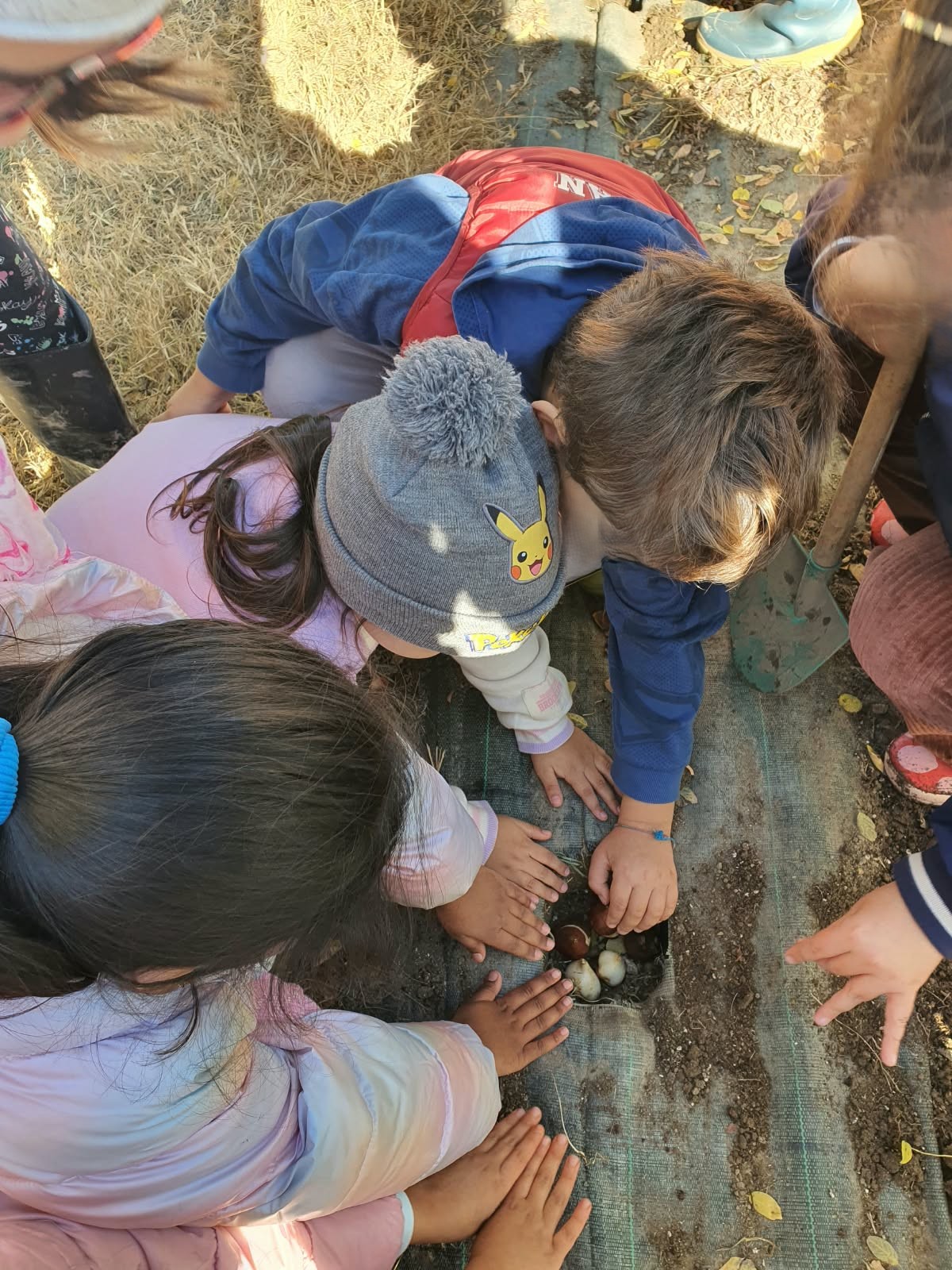 Bambini mettono a dimora i bulbi in una buca nel terreno